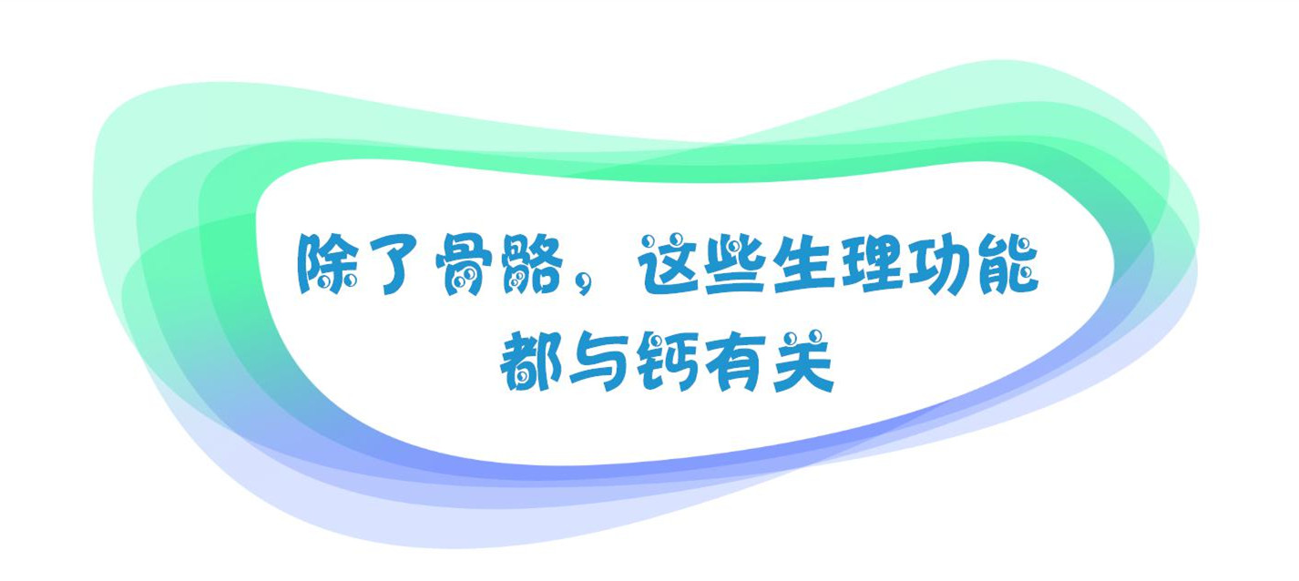 除了骨骼，这些生理功能都与钙有关