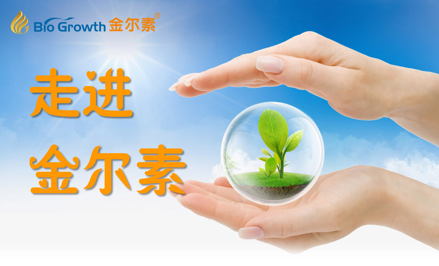走进金尔素