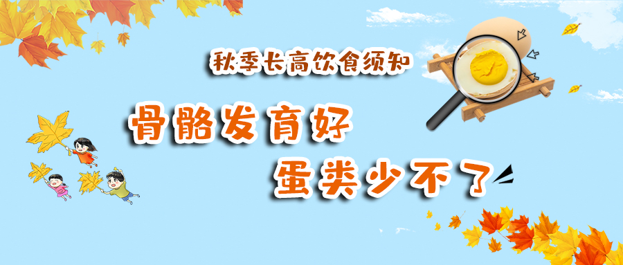 秋季长高饮食须知：骨骼发育好 蛋类少不了